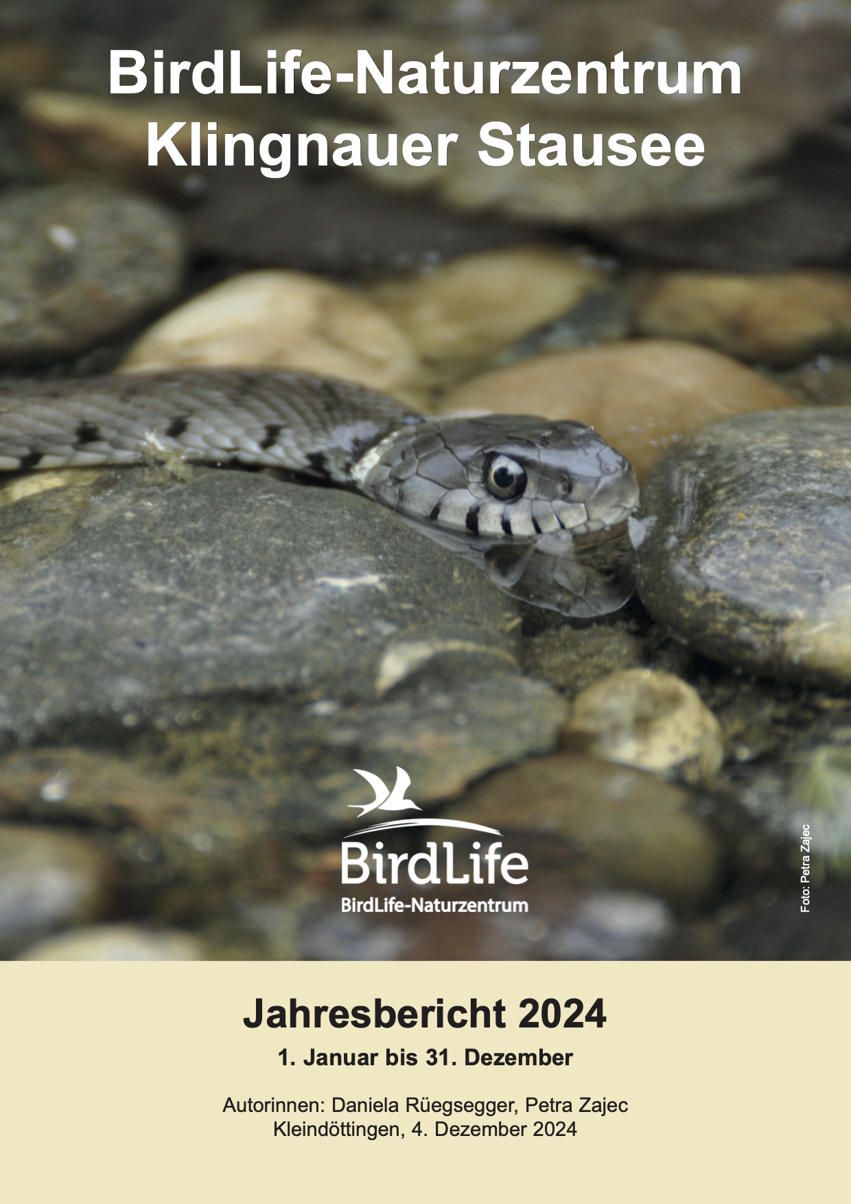 Jahresbericht 2024