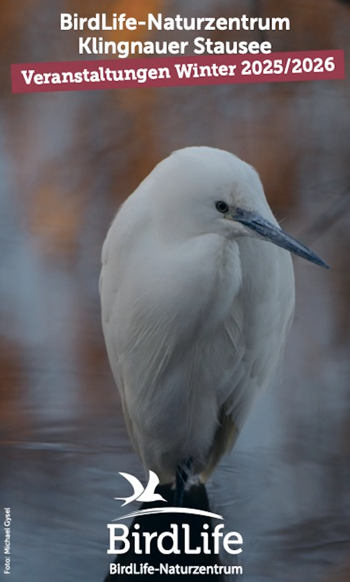 Winterprogramm 25/26