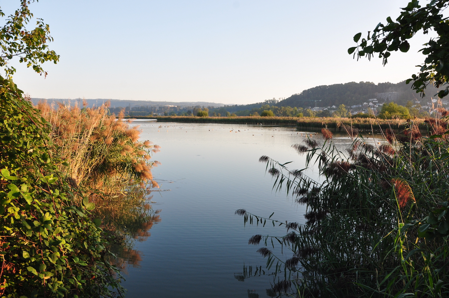 Stausee im Herbst