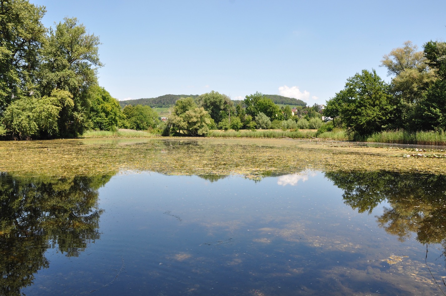 Weiher Weerd