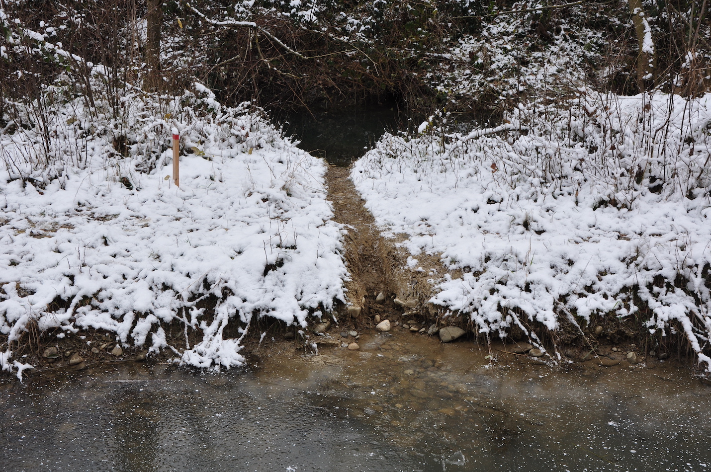Biberrutschbahn im Schnee