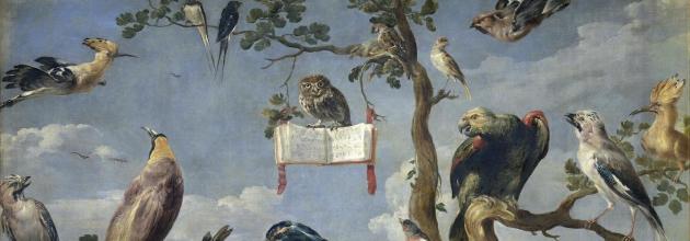 Gemälde Concert of Birds von Frans Snyders