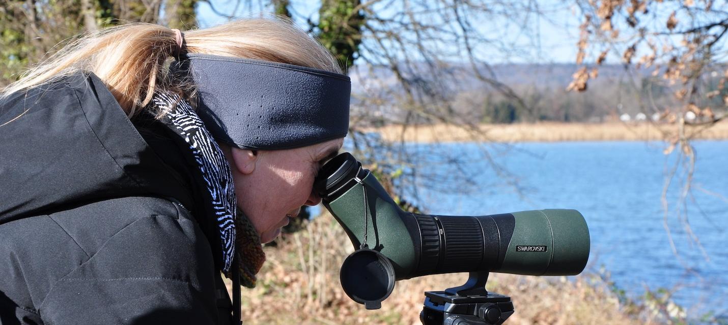 Beobachtung mit Fernrohr. 