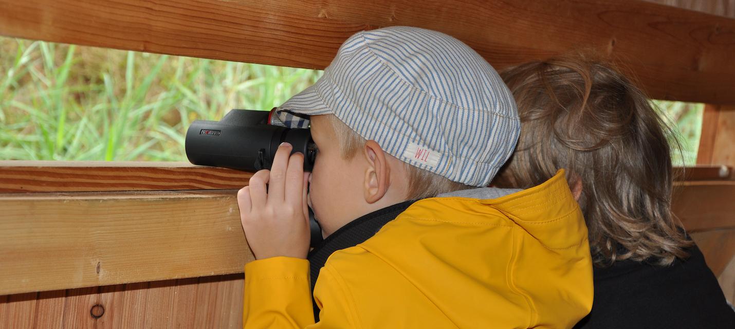 Kinder beobachten den Eisvogel