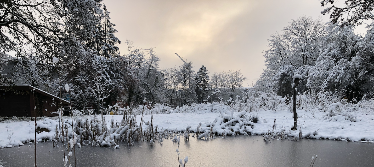 Der Erlebnispfad im Schnee