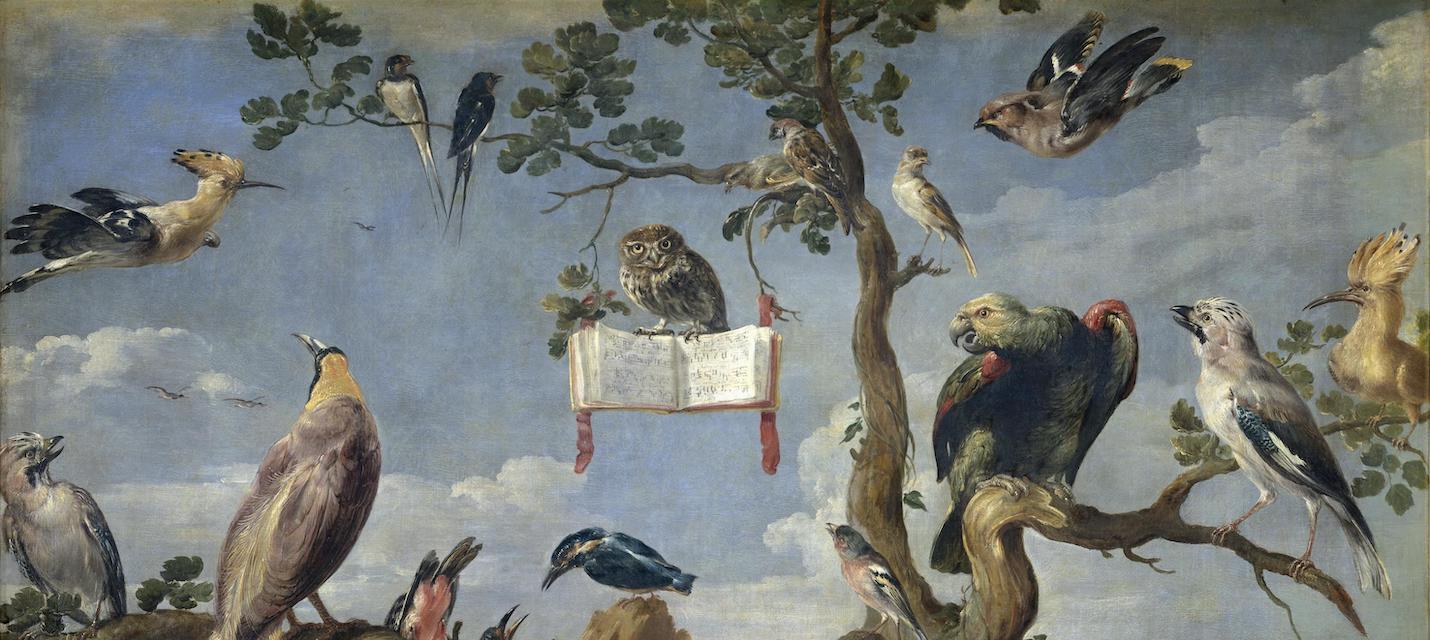 Gemälde Concert of Birds von Frans Snyders