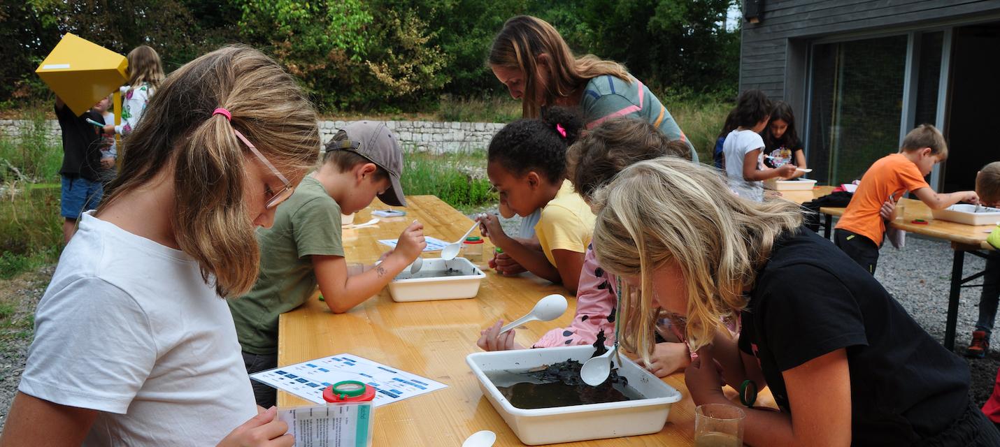 Wassertiere im Teich untersuchen