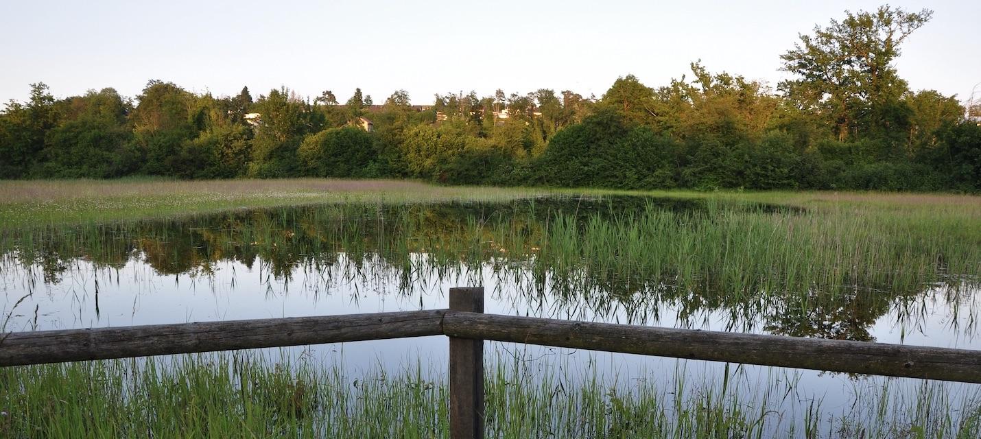 Landschaft Fischergrien