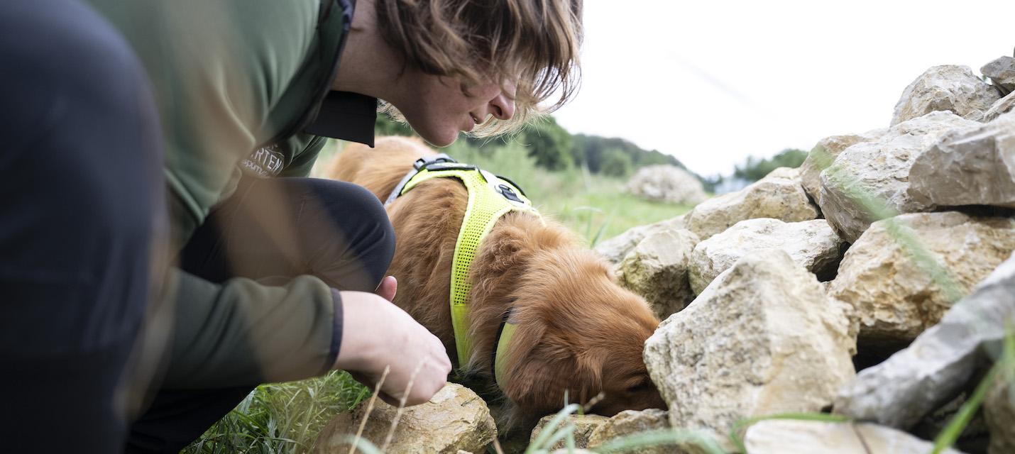 Artenspürhund
