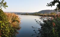 Stausee im Herbst. Foto: Petra Zajec