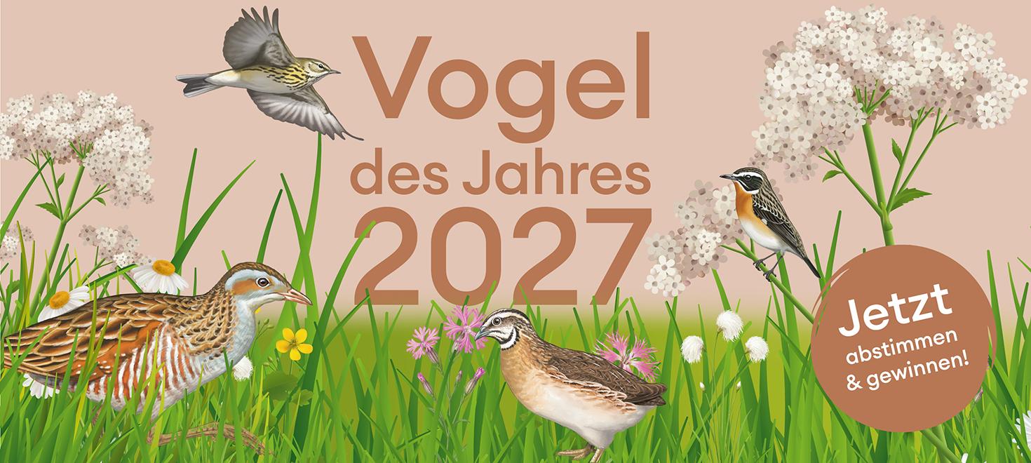 Wahl Vogel des Jahres 2027