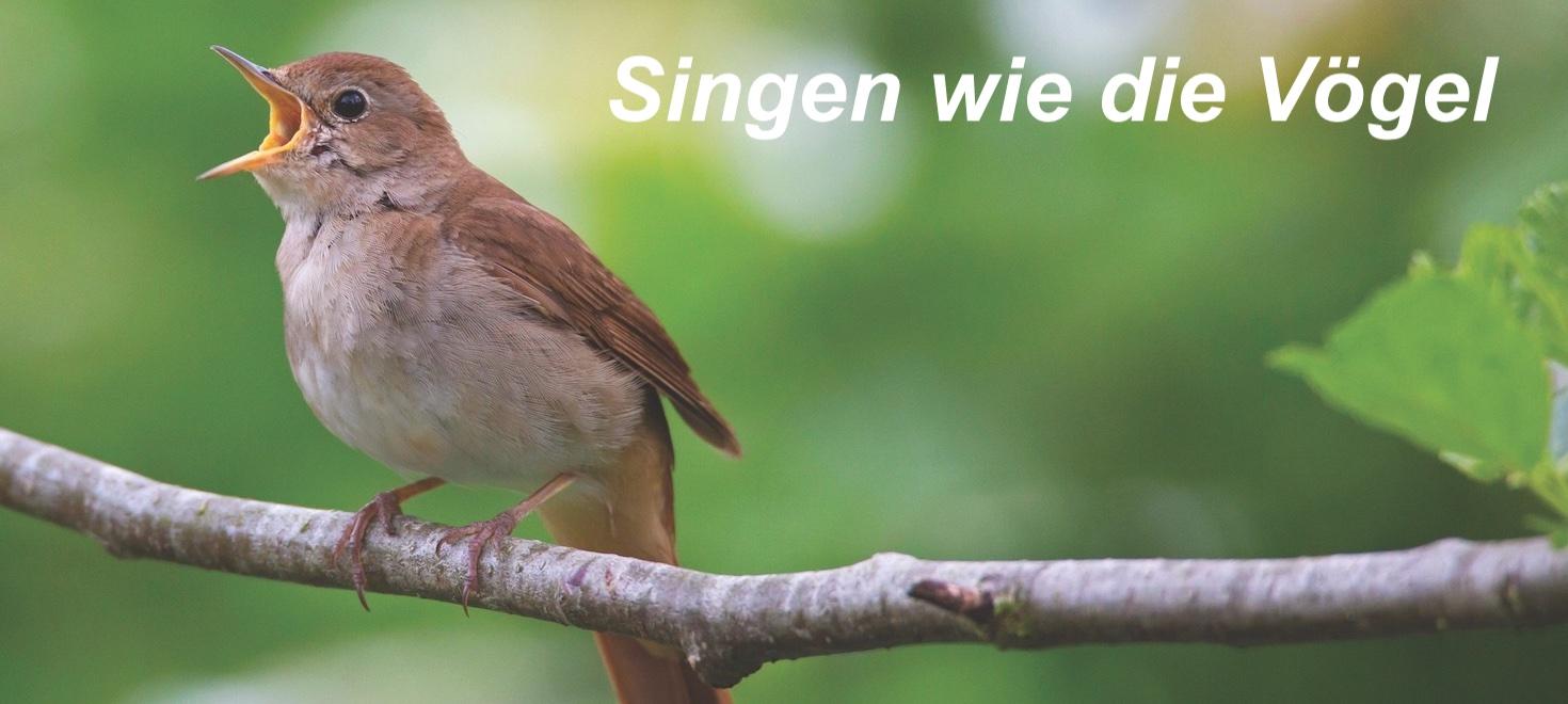 Singen wie die Vögel