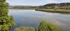 Verlandungszone Klingnauer Stausee